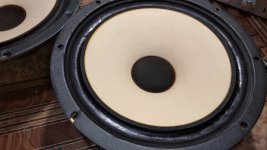 WhatsApp Image 2025-06-14 at 18.24.50.jpeg