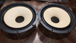 WhatsApp Image 2025-06-14 at 18.24.51.jpeg