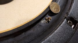 WhatsApp Image 2025-06-14 at 21.37.43.jpeg