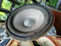 IMG_20250611_172239.jpg IMG_20250611_172239.jpg