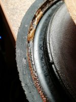 IMG_20250613_200602.jpg IMG_20250613_200602.jpg