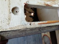 IMG_20250612_125208.jpg IMG_20250612_125208.jpg