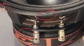 IMG_1173.jpeg IMG_1173.jpeg