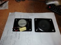 IMG_20250616_195958.jpg