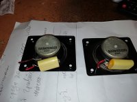 IMG_20250616_200011.jpg