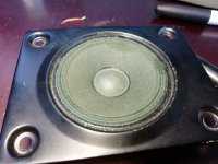IMG_20250617_093924.jpg