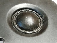 IMG_20250616_200238.jpg