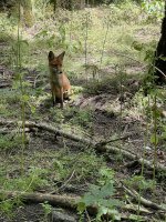 IMG_6612.jpeg