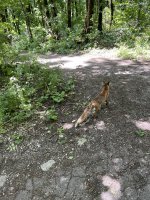 IMG_6616.jpeg