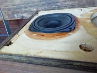 IMG_20250620_170358.jpg IMG_20250620_170358.jpg