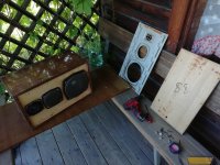 IMG_20250623_182218.jpg IMG_20250623_182218.jpg