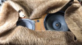 WhatsApp Image 2025-07-05 at 18.12.36.jpeg