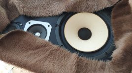 WhatsApp Image 2025-07-06 at 17.49.45.jpeg