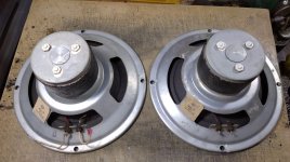 WhatsApp Image 2025-07-19 at 11.09.35.jpeg