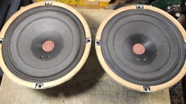 WhatsApp Image 2025-07-19 at 11.09.36.jpeg