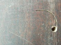 IMG_20250729_155711.jpg IMG_20250729_155711.jpg