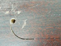 IMG_20250729_155716.jpg IMG_20250729_155716.jpg