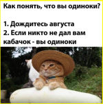 image (40).png