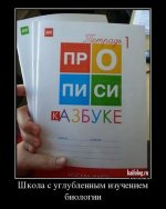 1409649115_015.jpg