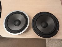 PXL_20250806_104007916.jpg PXL_20250806_104007916.jpg