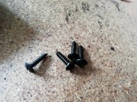 IMG_20250809_115630.jpg IMG_20250809_115630.jpg