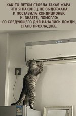 IMG_20250814_145439_718.jpg