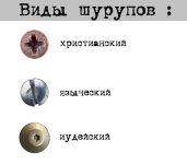 up61019-Picturesi57.jpg