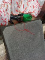 IMG_20250814_173500.jpg IMG_20250814_173500.jpg