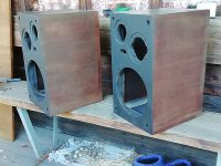 IMG_20250822_165738.jpg IMG_20250822_165738.jpg