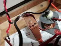 IMG_20250824_181135.jpg IMG_20250824_181135.jpg