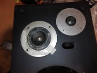 IMG_20250827_193828.jpg IMG_20250827_193828.jpg