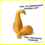 image (3475).png