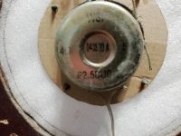 IMG_20250904_212749.jpg IMG_20250904_212749.jpg