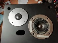 IMG_20250913_114745.jpg IMG_20250913_114745.jpg