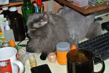 DSC_0513.JPG