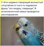 image (3756).png