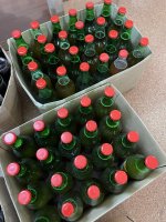 IMG_7201.jpeg