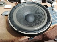 IMG_20251002_184236.jpg IMG_20251002_184236.jpg