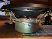 IMG_20251002_184252.jpg IMG_20251002_184252.jpg