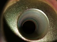 IMG_20251002_184422.jpg IMG_20251002_184422.jpg