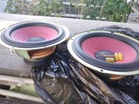 IMG_20251004_153138_1 копия.jpg