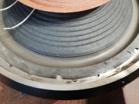 IMG_20251005_171028.jpg IMG_20251005_171028.jpg