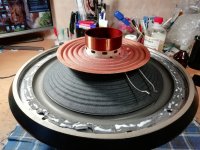 IMG_20251005_171216.jpg IMG_20251005_171216.jpg