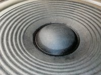 IMG_20251006_192720.jpg IMG_20251006_192720.jpg