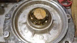 WhatsApp Image 2025-10-16 at 21.00.09.jpeg