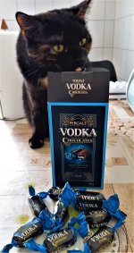 20220329_160043 (2).jpg