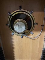 IMG_2399.jpeg IMG_2399.jpeg