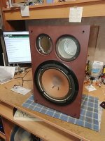 IMG_20251030_193021.jpg IMG_20251030_193021.jpg