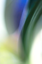 IMG06393-1.jpg