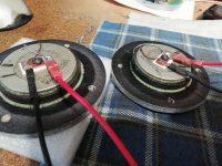 IMG_20251104_113650.jpg IMG_20251104_113650.jpg